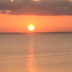 Meet your Posher, Devin